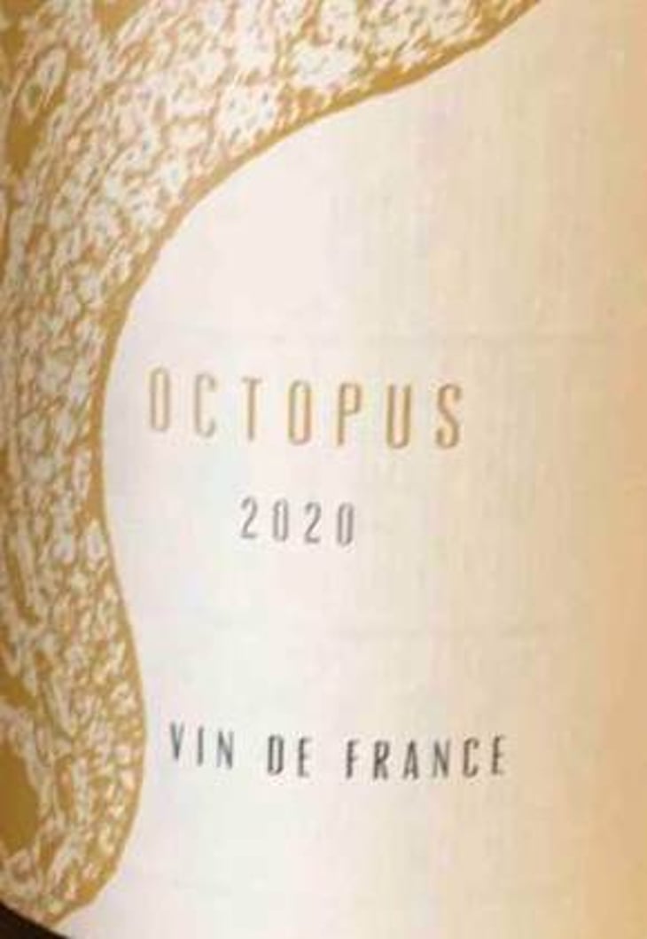 Octopus Blanc - L'Austral - pauline-mourrain-laurent-troubat -2020