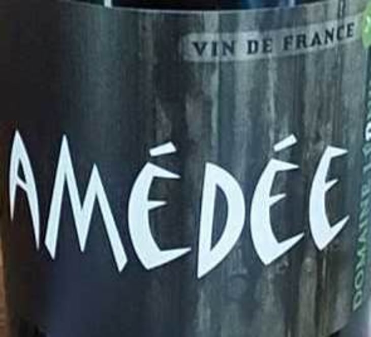 Amédée Blanc - SAS Bascule! + Ex Domaine Leonine - caroline-stephane-morin 