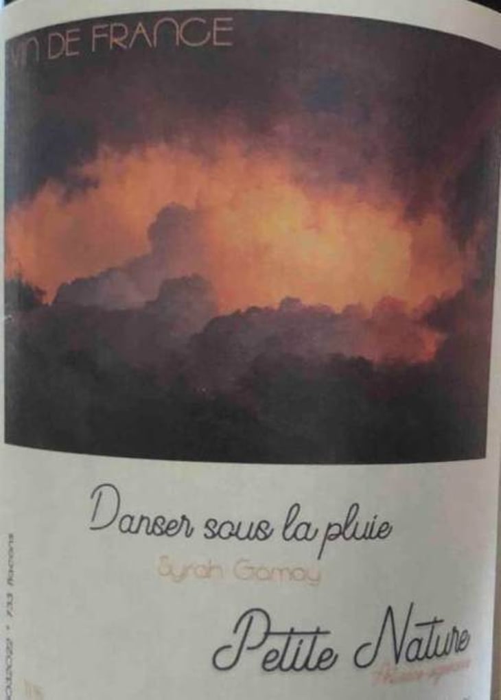 Danser Sous La Pluie - Petite Nature - pauline-maziou -2021