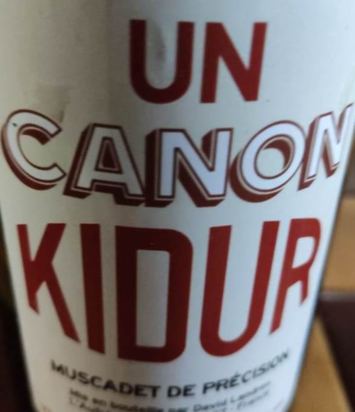 Un Canon Kidur - Domaine Passe Pont - david-landron 