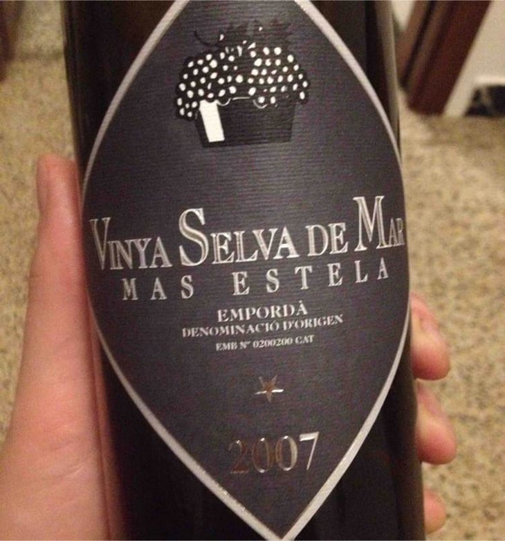 Vinya Selva de Mar - Mas Estella - nuria-dalmau-diego-soto 