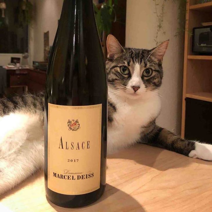Alsace - Domaine Marcel Deiss - Jean-Michel Deiss 