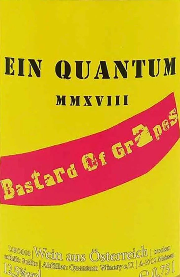 Bastard Of Grapes Orange - Quantum Winery - florian-schuhmann-irschik-sq 