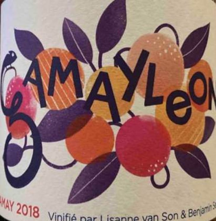 Gamayleon - Sonser Vins (CLOSED) - lisanne-van-son-benjamin-serer 