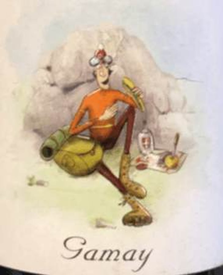 Gamay - Domaine Giachino - frederic-david-clement-giachino 