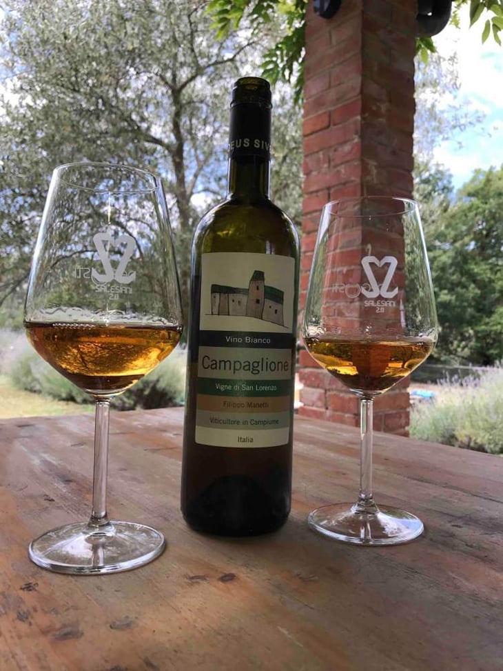 Campaglione Bianco - Vigne di San Lorenzo - filippo-manetti 