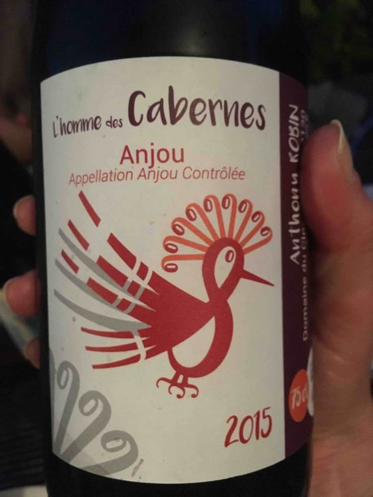 L'Homme Des Cabernes - Domaine du Clos Fremur - anthony-robin 