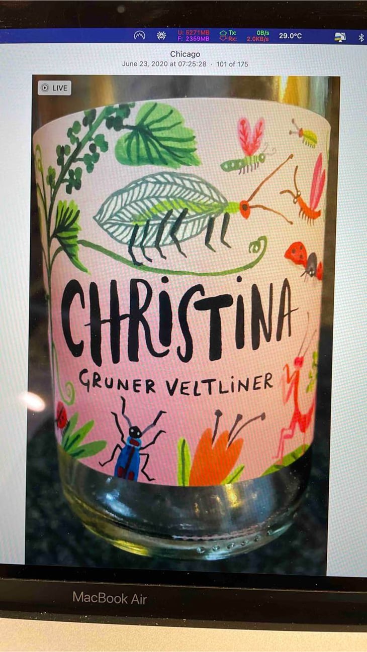 Gruner Vetliner - Weingut Franz & Christine Netzl - Franz & Christine Netzl -2019