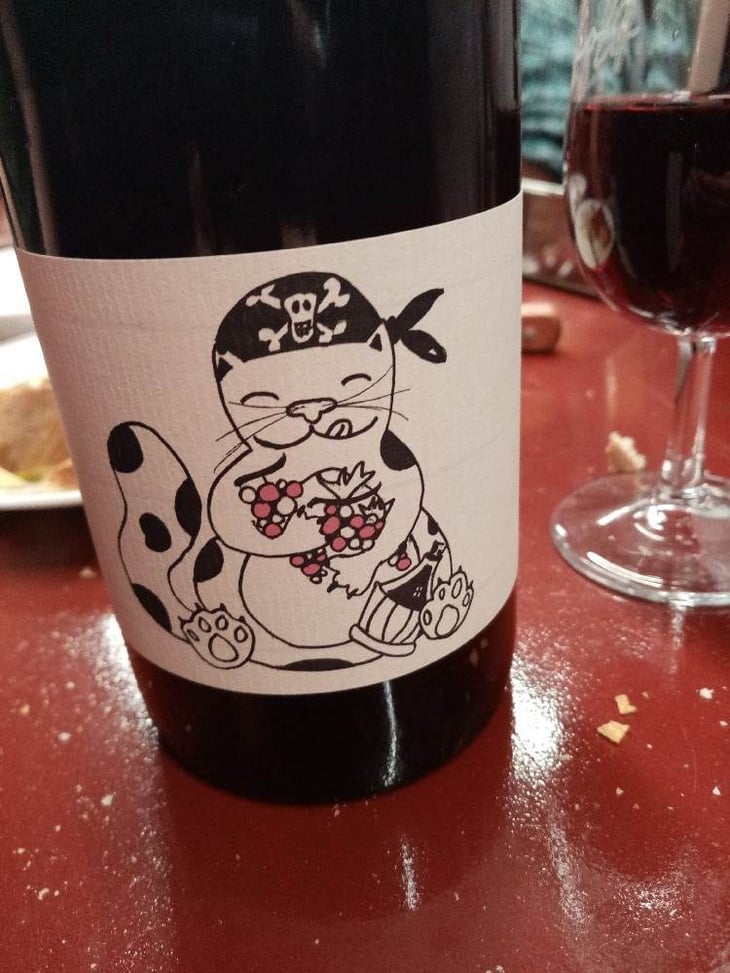 Vino Rosso - Azienda Agricola Gatti - carolina-gatti 