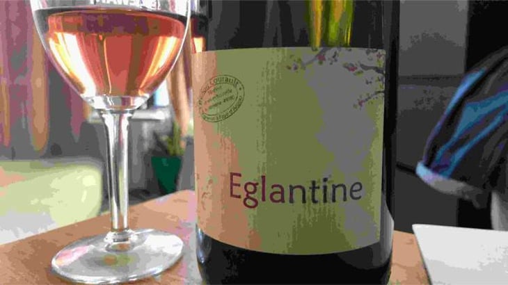 Églantine