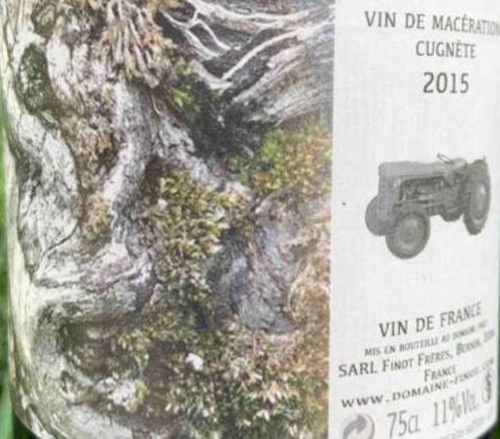 Vin de Macération Cugnette - Domaine Finot - thomas-finot 