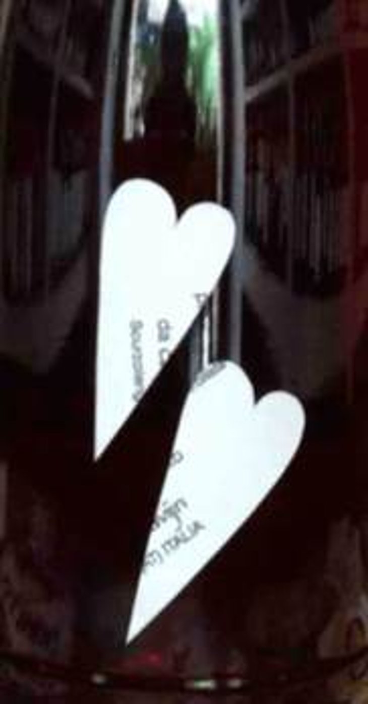 Grignolino Rosato Frizzante - Cascina Tavijn - nadia-verrua 