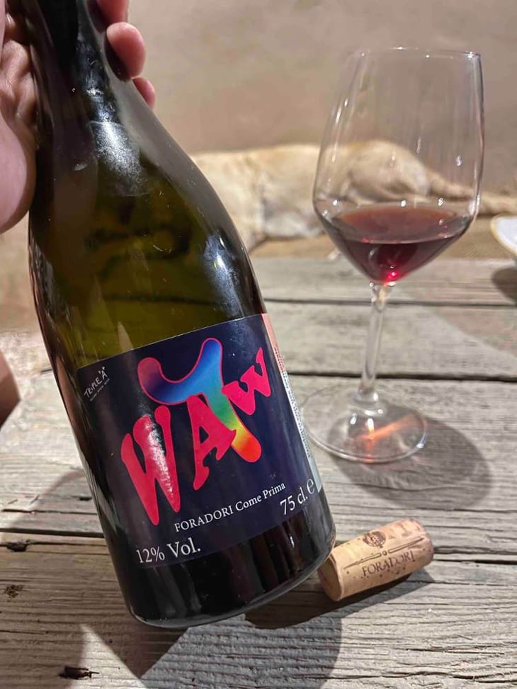 Waw - Azienda Agricola Foradori - elisabetta-foradori -2022