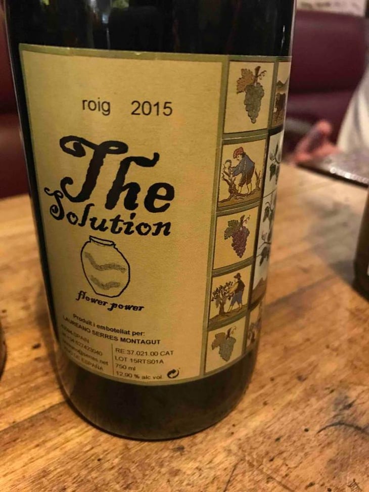 The Solution - Mendall - laureano-serres-montagut-alicia-serres-brianzo 