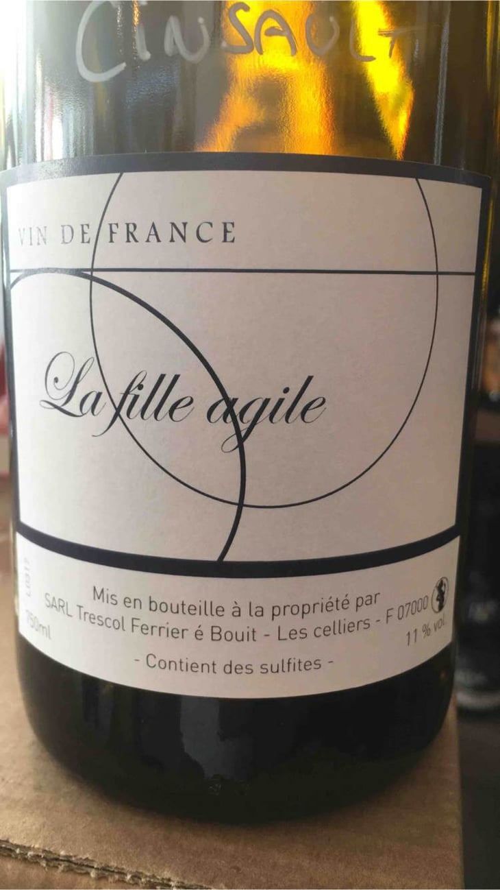 La Fille Agile - Trescol é Bouit - sandro-trescol-jonathan-bouit 