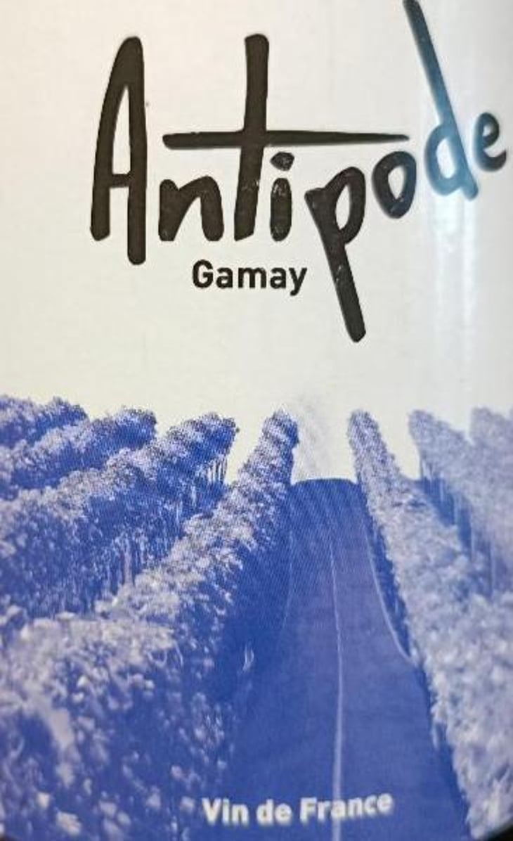 Antipode - Domaine Des Gatz - alexis-frenkel-maxime-petit 