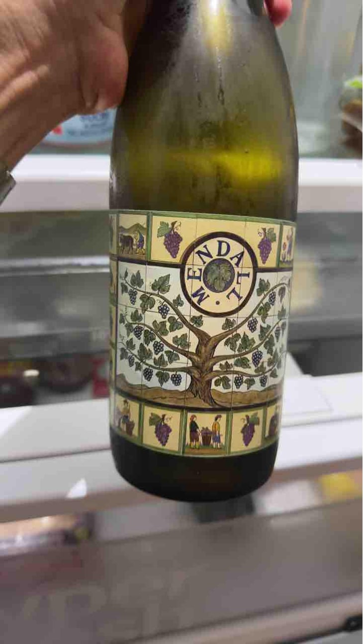 Mosquito de Guiu blanc - Mendall - laureano-serres-montagut-alicia-serres-brianzo -2022
