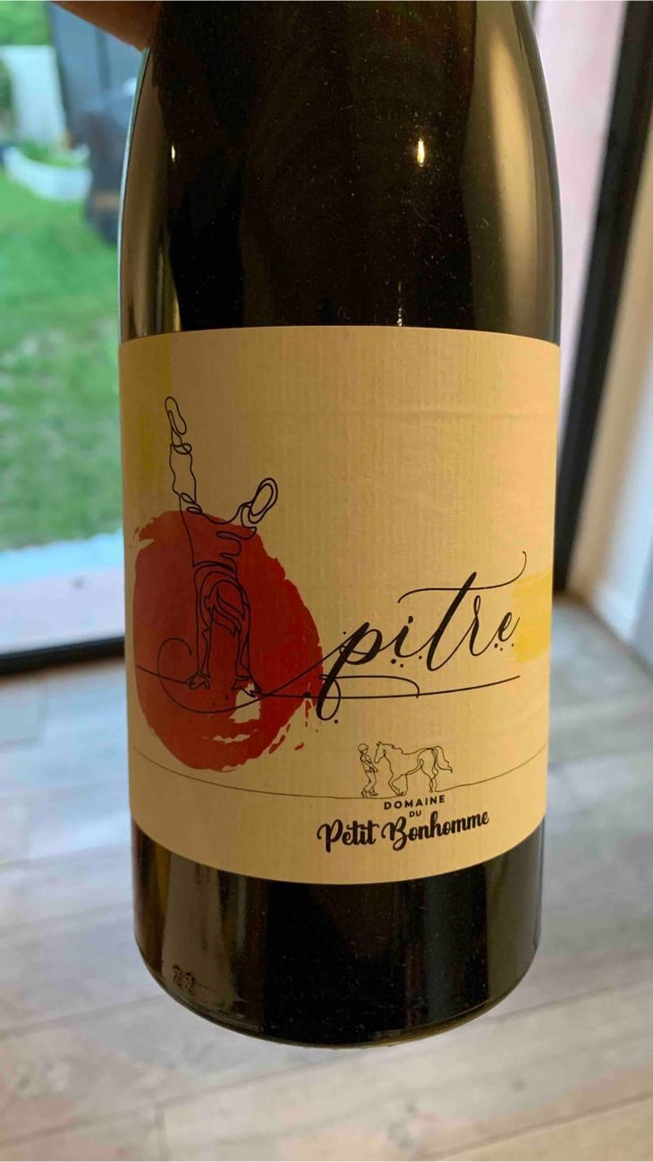Pitre - Domaine du petit bonhomme - fabien-chanavas -2022