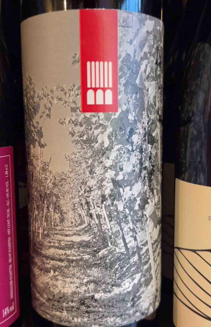 La Vigna - Santuvario - ivano-paola-barbaglia 