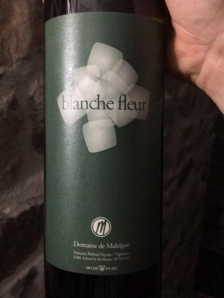 Blanche Fleur - Domaine de Malaïgue - francois-reboul 