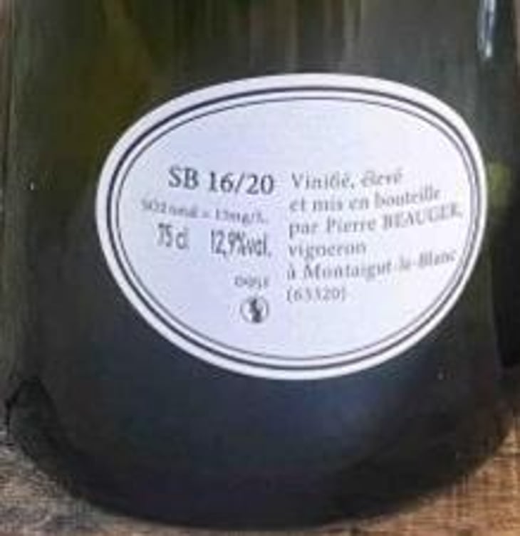 SB16/20 - Pierre Beauger - pierre-beauger 