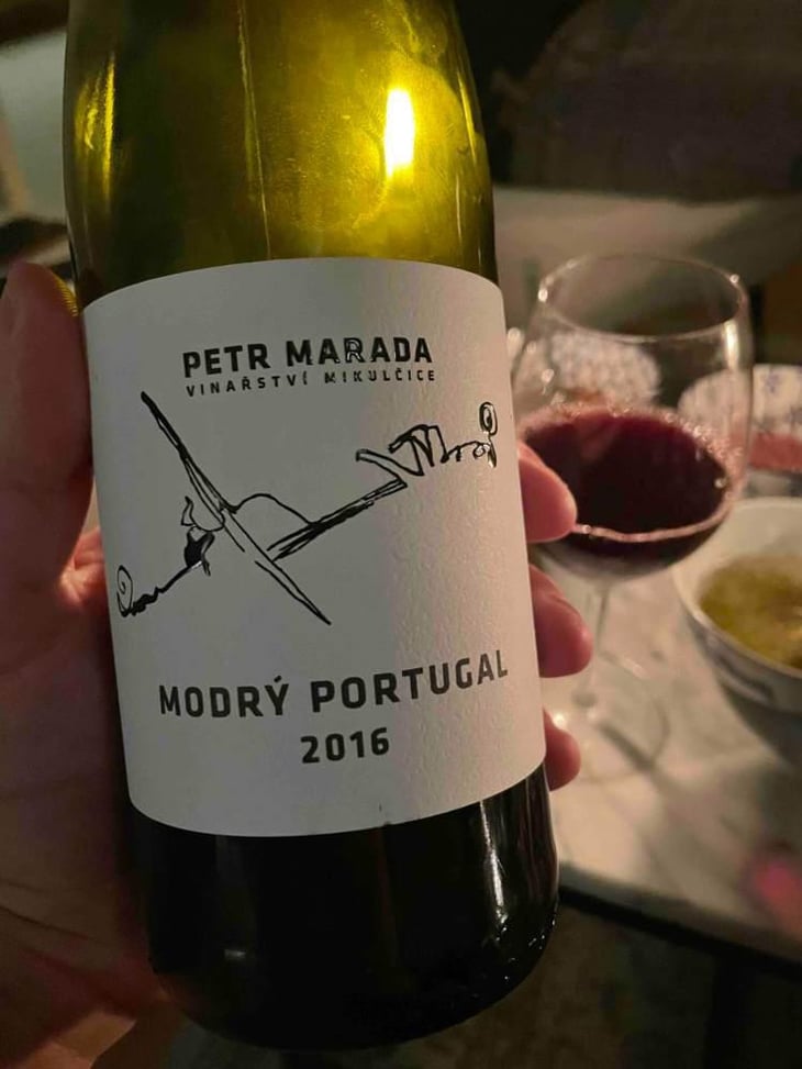 Modry Portugal - Vinařství Petr Marada - petr-marada 