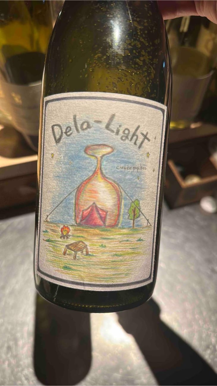 Dela-Light - Fujimaru Brewery (Shimanouchi / Kiyosumi Shirakawa) - satoshi-fujimaru -2022