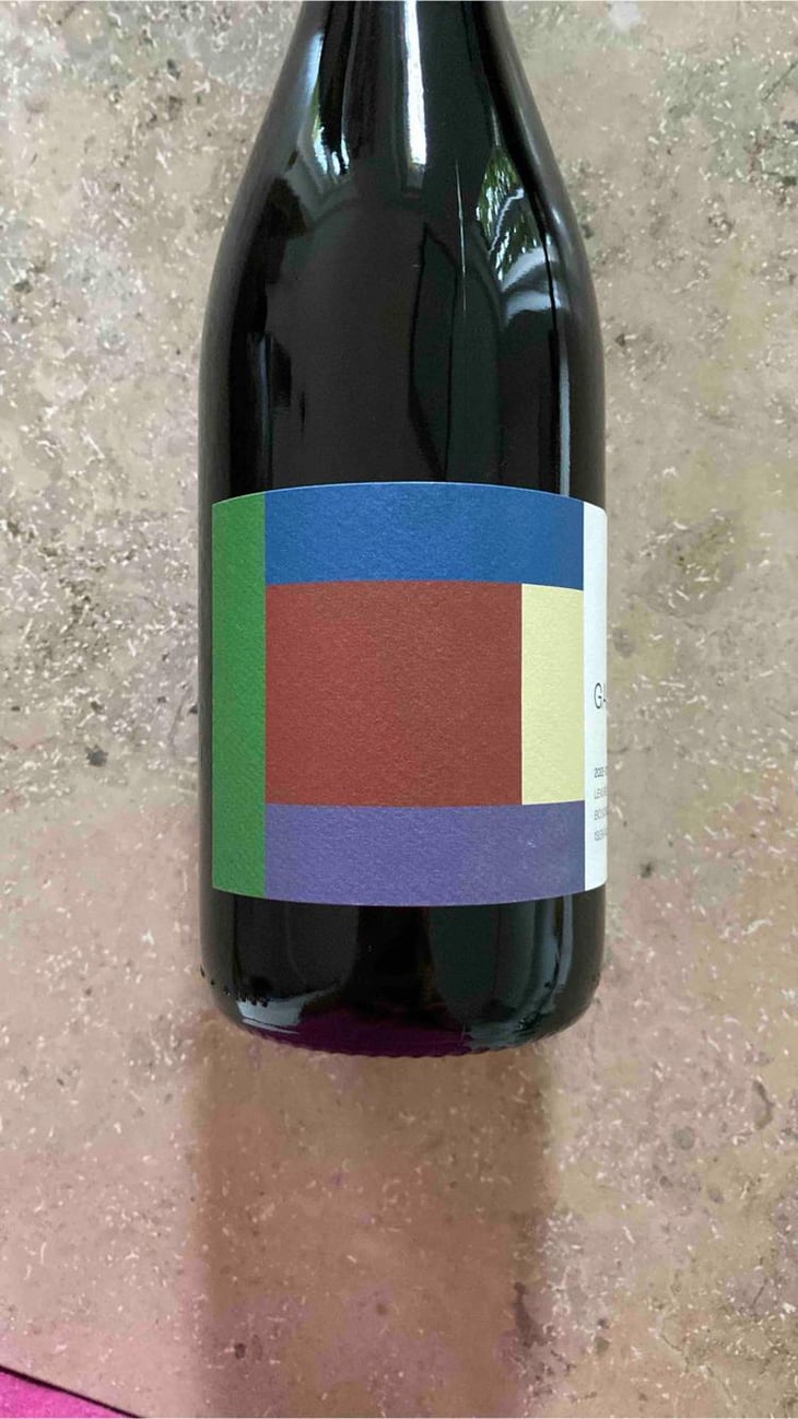 Gamay - Domaine du Chambet - anthony-fonjallaz -2022