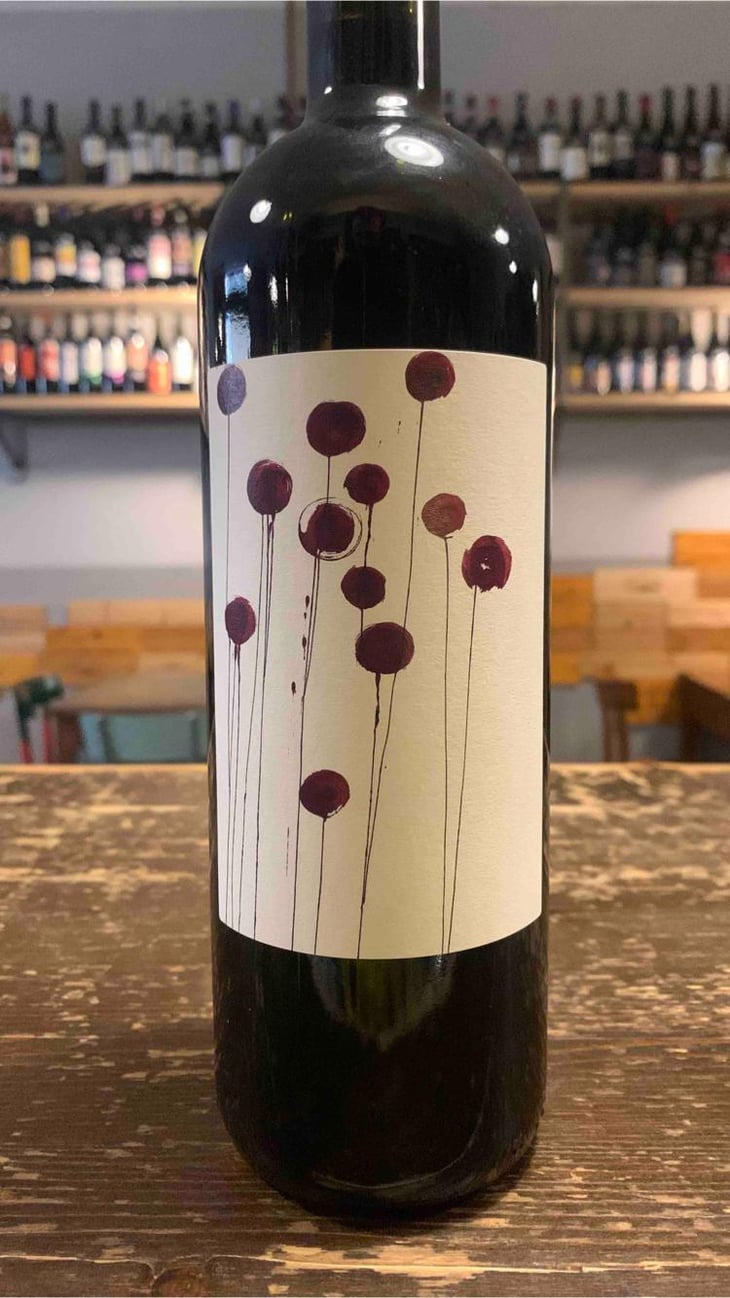 Gattorosso - Sagona - daniele-corrotti -2022