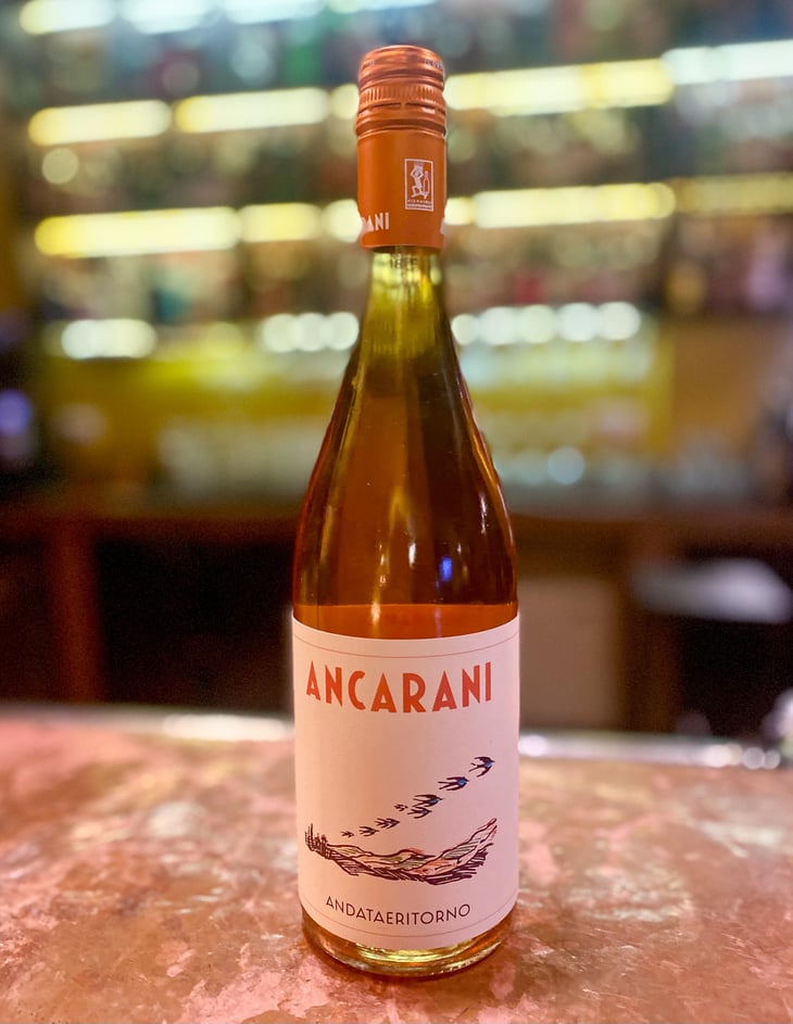 Andataeritorno - Ancarani - rita-babini-claudio-ancarani 