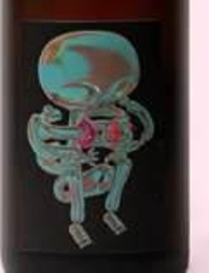 Area 51 - fizz - Pet Nat - Fin Wines - jonjo-mcevoy-oliver-johns-angus-hean 