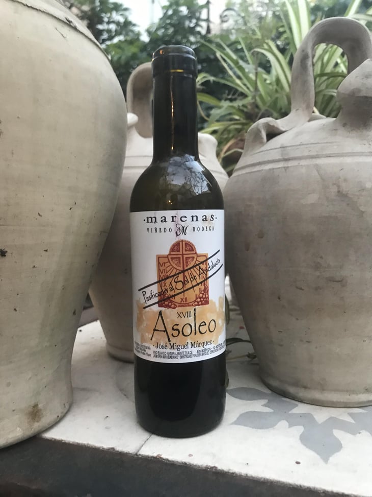 Asoleo Moscatel - Marenas Viñedo y Bodega - jose-miguel-marquez-herrador -2018