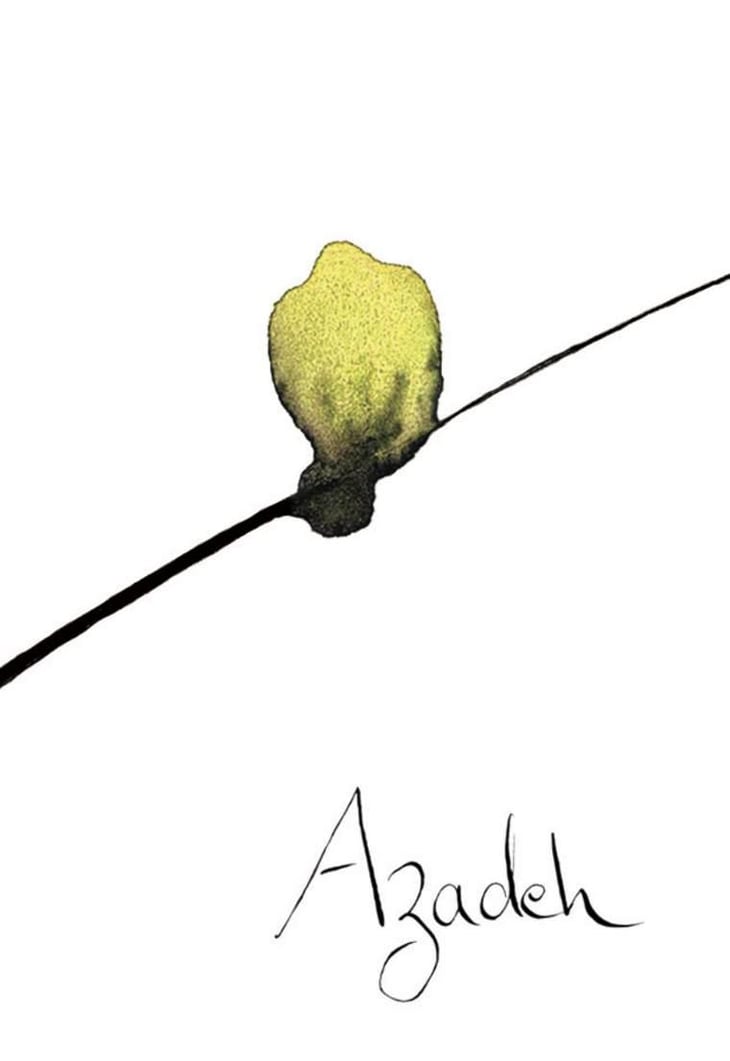 Azadeh - Le vin des Pauzes - florence-limousin-damien-aube 