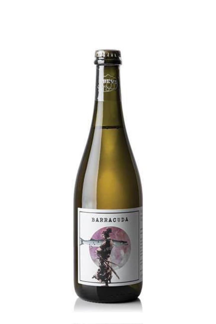 Barracuda - Yeasteria - esmeralda-spitaleri-jacopo-nardi 
