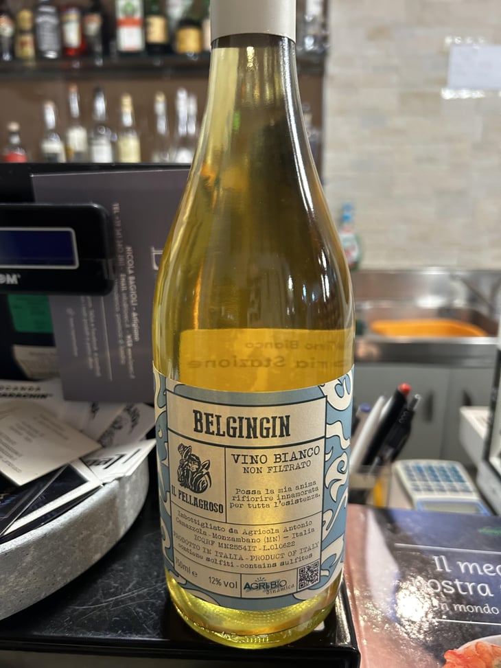 Belgingin