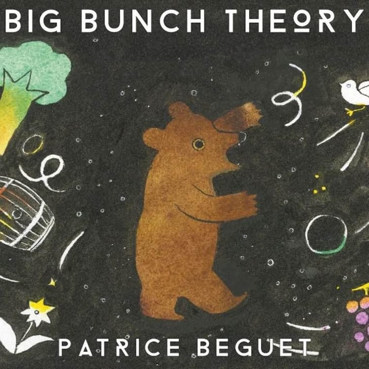 Big Bunch Theory "Go Together" Blanc - Domaine Hughes-Beguet - caroline-patrice-hughes-beguet 