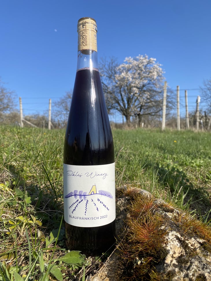 Blaufränkisch - Šiklóš Winery - viktor-sipos 