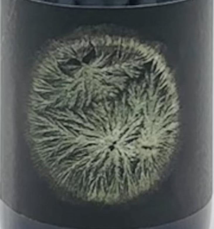 Blüemarawa de Jean-Paul - Les Vins Pirouettes - pierre-sanchez-remi-segura-xavier-couturier -2019