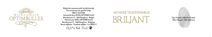 Briljant - Optimbulles - maxim-geunis-family -2017
