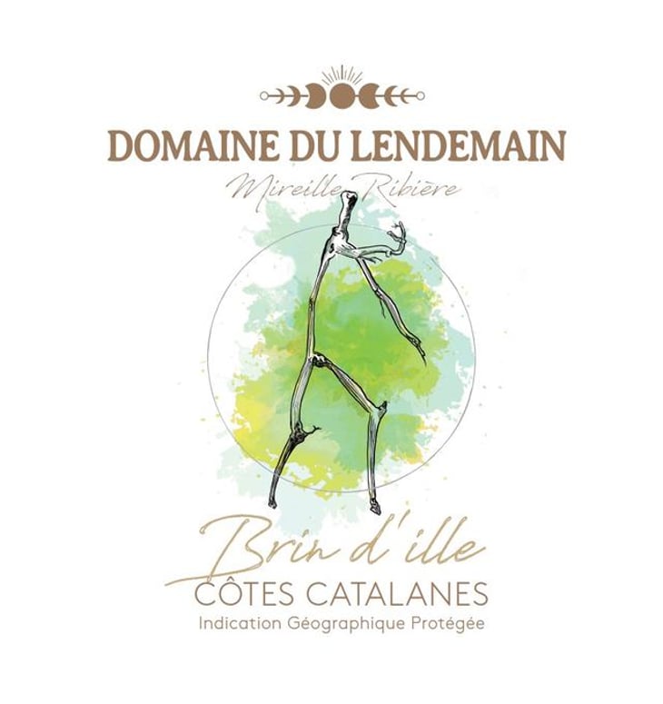 Brin D'ille - Domaine du Lendemain - mireille-ribiere 