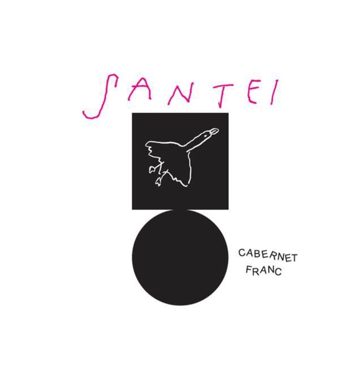 Cabernet-Franc - Santei Biodynamic Wines - matej-bizjak-family 
