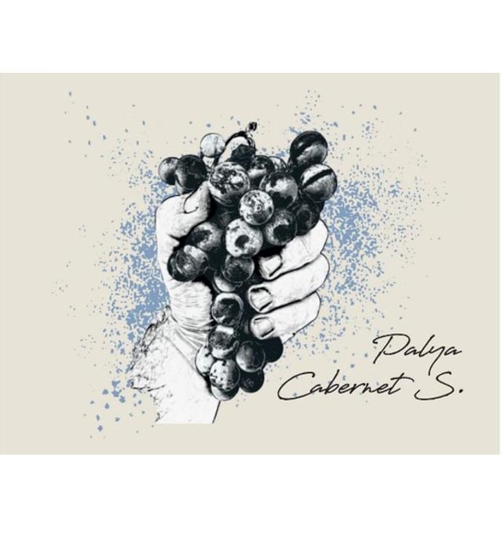 Cabernet Sauvignon 2021 - Palya Wines - balazs-palya-and-julcsi-meszaros 