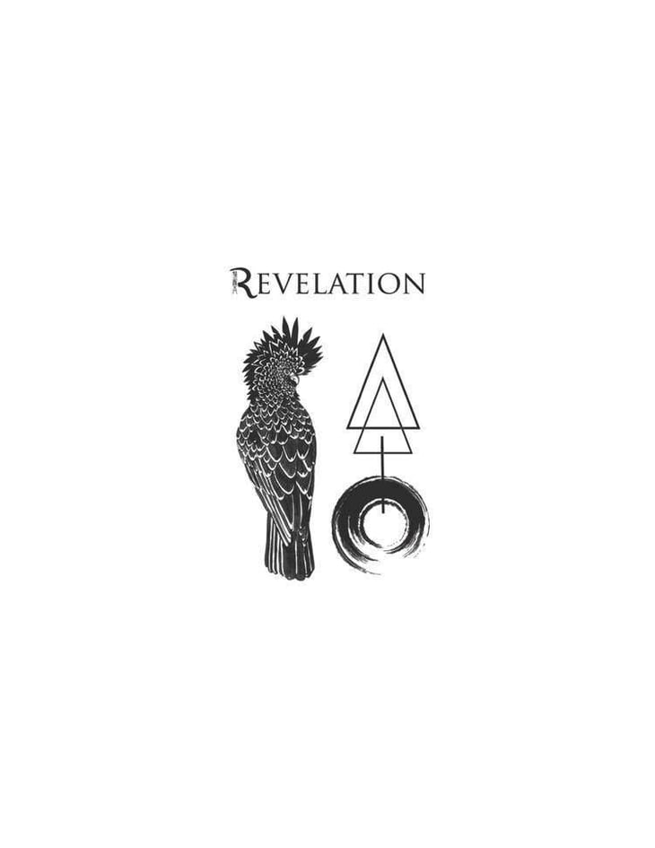 Cabernet-Sauvignon - Revelation - francois-ribaud 
