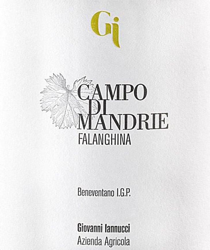 Campo Di Mandrie - Azienda Agricola Giovanni Iannucci - giovanni-iannucci 