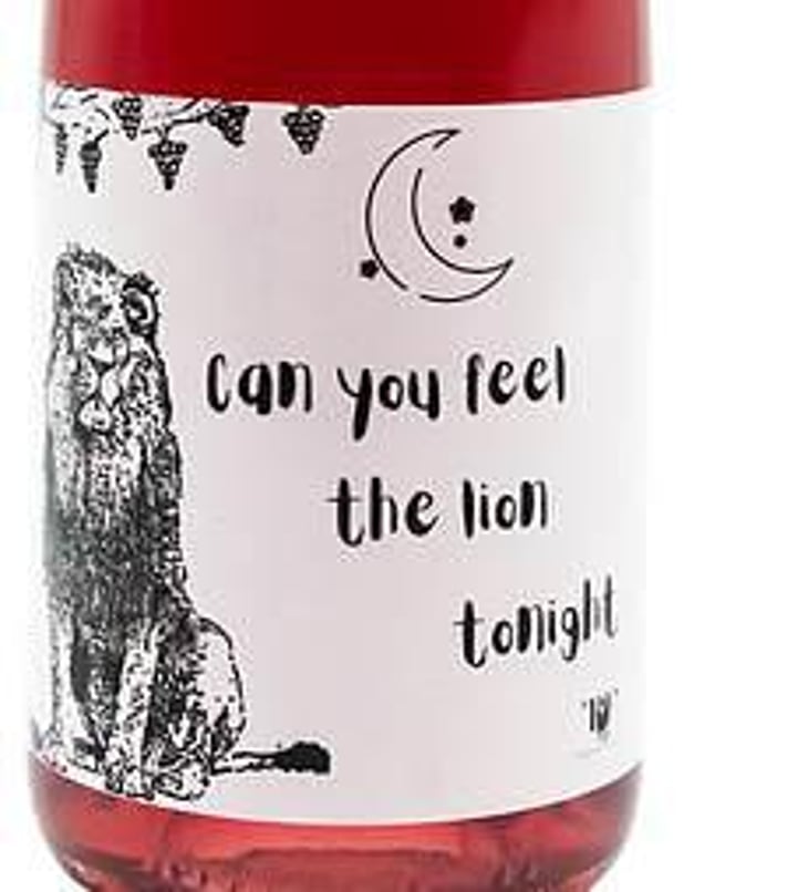 Can you feel the lion tonight - Château Terre Fauve - morgane-jouan-nicolas-baudet 