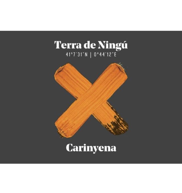 Terra de Ningù Carinyena - Terra de Ningù Wines - toni-cuspinera 