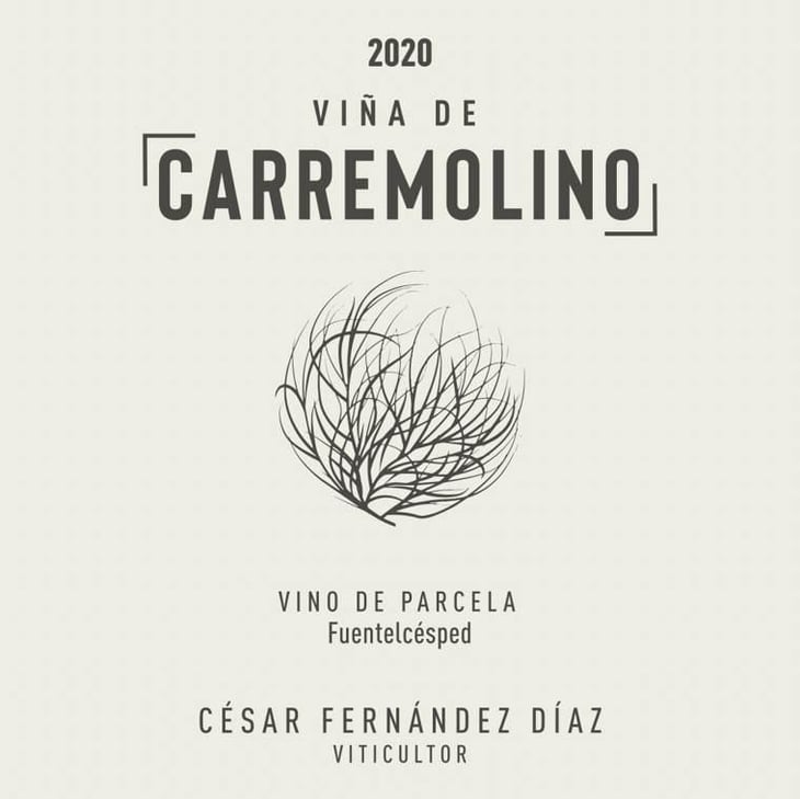 Viña de Carremolino - César Fernández Díaz - cesar-fernandez-diaz 