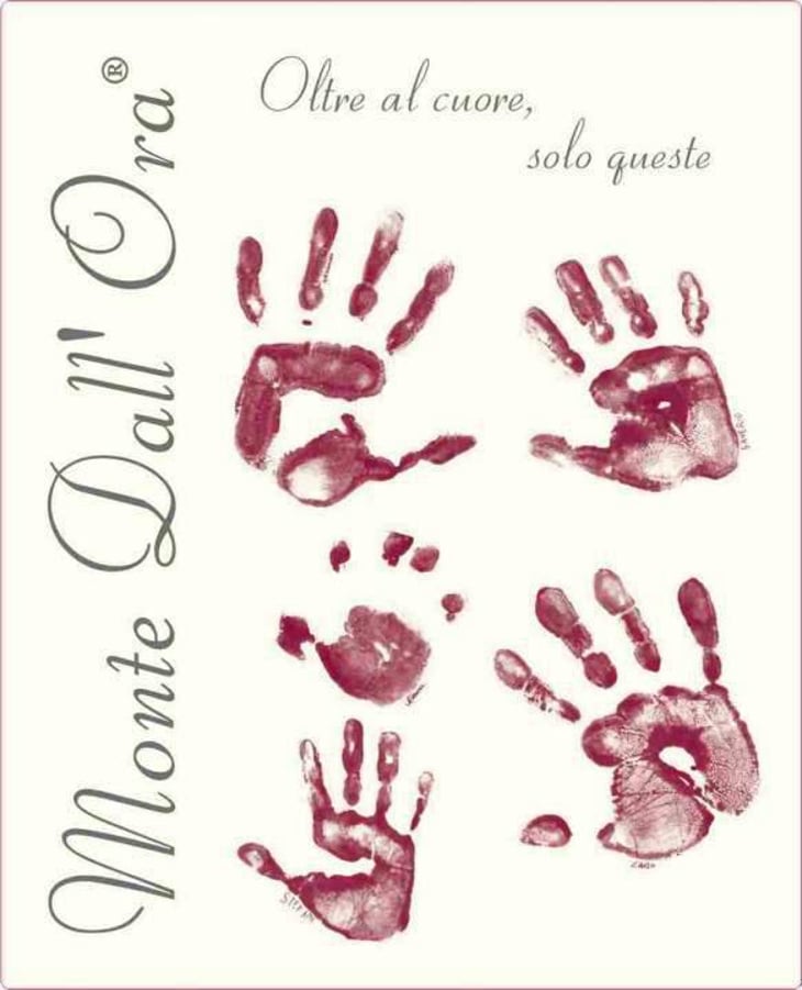 Saseti - Monte dall'Ora - alessandra-zantedeschi-carlo-venturini 