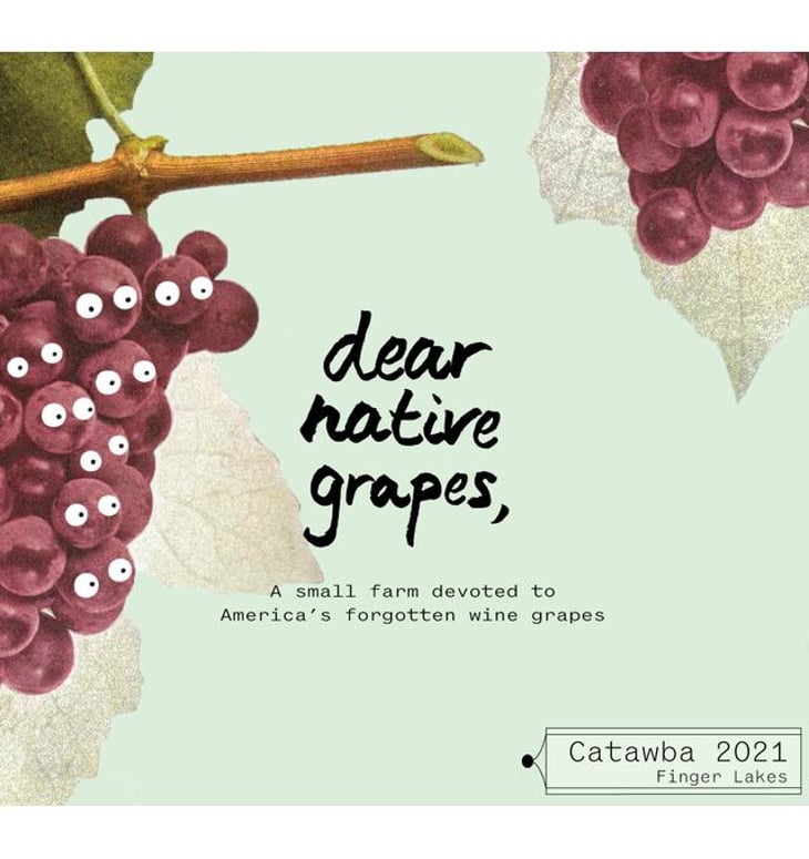 Catawba - Dear Native Grapes - alfie-alcantara-and-deanna-urciuoli 