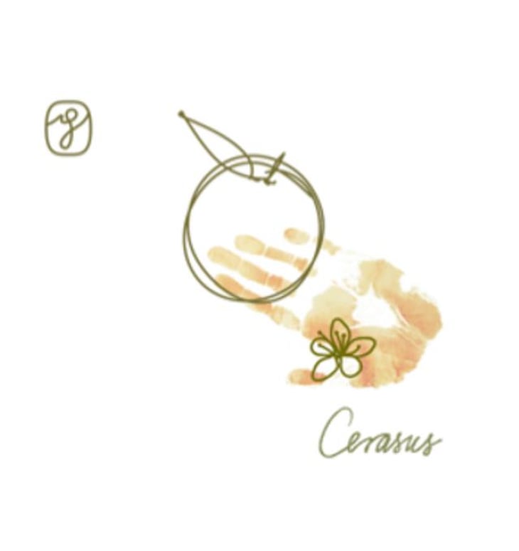 Cerasus - Gittinger Pince - attila-vizi-gittinger 